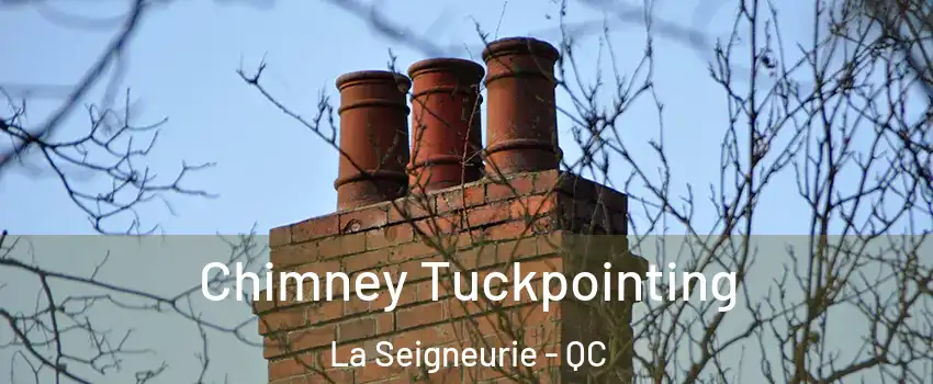  Chimney Tuckpointing La Seigneurie - QC