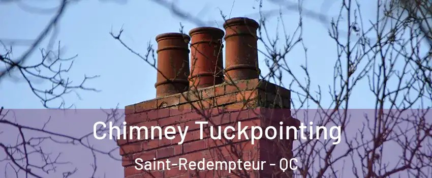  Chimney Tuckpointing Saint-Redempteur - QC