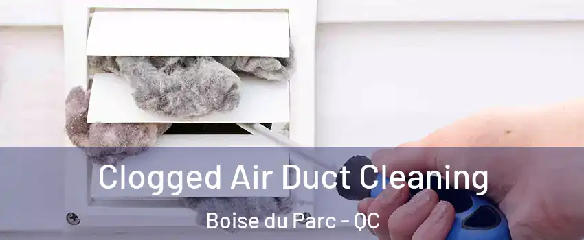  Clogged Air Duct Cleaning Boise du Parc - QC