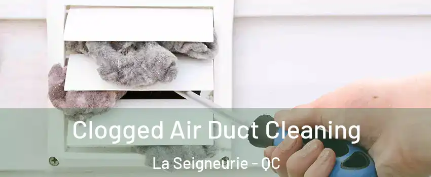  Clogged Air Duct Cleaning La Seigneurie - QC