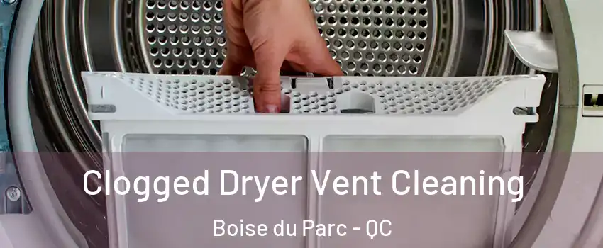  Clogged Dryer Vent Cleaning Boise du Parc - QC