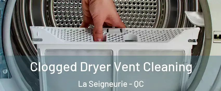  Clogged Dryer Vent Cleaning La Seigneurie - QC