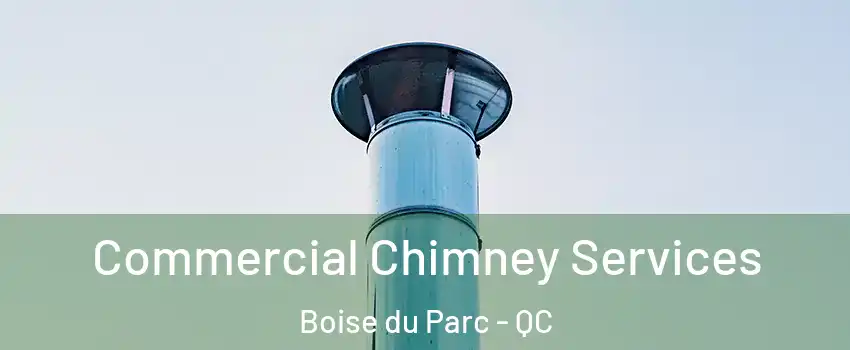  Commercial Chimney Services Boise du Parc - QC