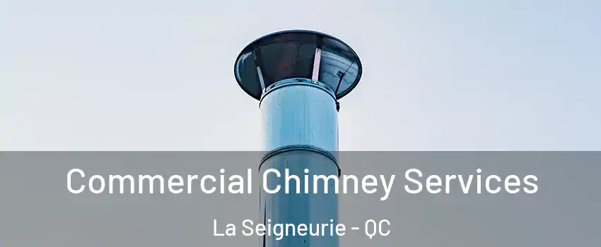  Commercial Chimney Services La Seigneurie - QC
