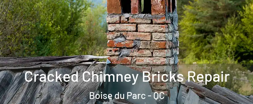  Cracked Chimney Bricks Repair Boise du Parc - QC