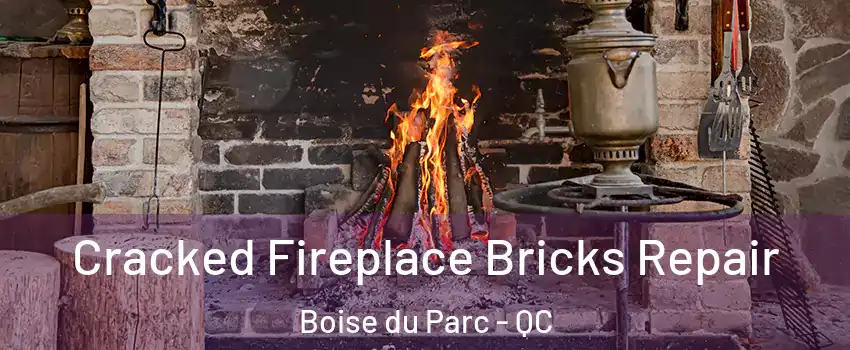  Cracked Fireplace Bricks Repair Boise du Parc - QC