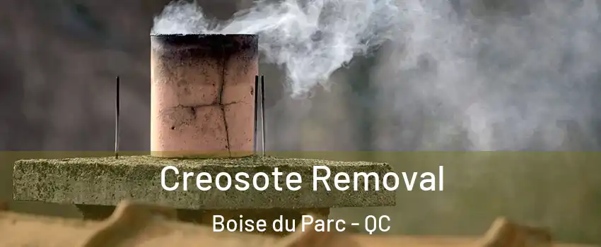  Creosote Removal Boise du Parc - QC