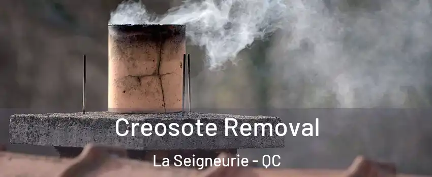  Creosote Removal La Seigneurie - QC