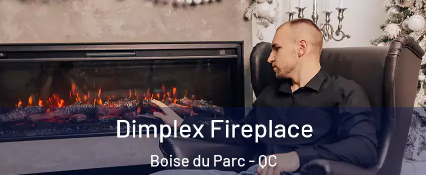  Dimplex Fireplace Boise du Parc - QC