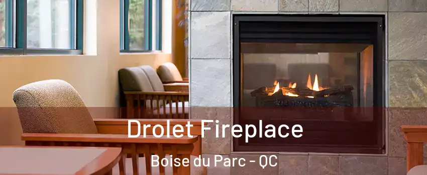  Drolet Fireplace Boise du Parc - QC