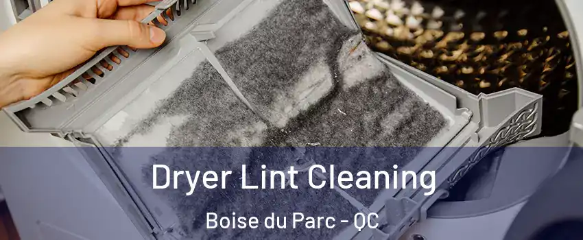  Dryer Lint Cleaning Boise du Parc - QC