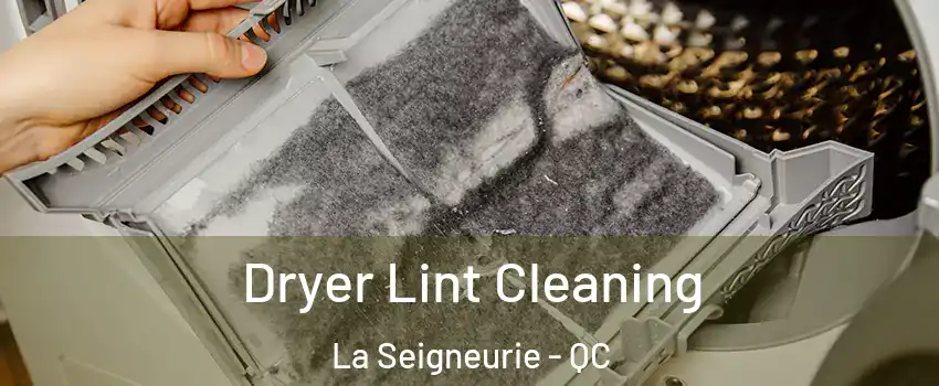  Dryer Lint Cleaning La Seigneurie - QC