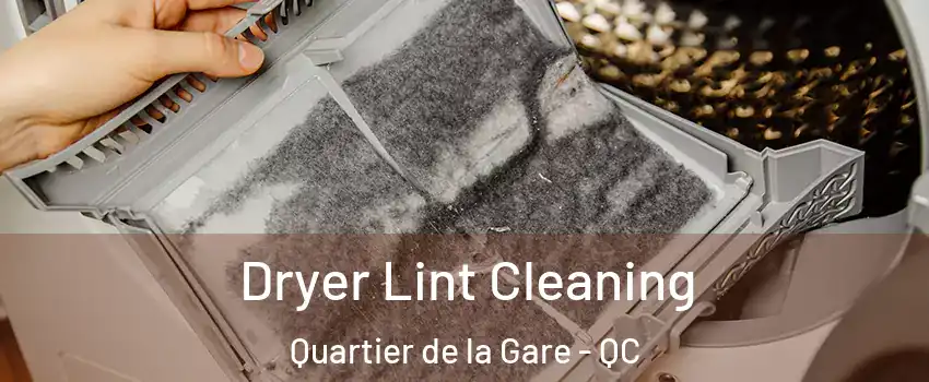  Dryer Lint Cleaning Quartier de la Gare - QC