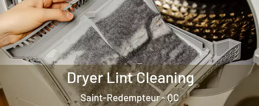 Dryer Lint Cleaning Saint-Redempteur - QC