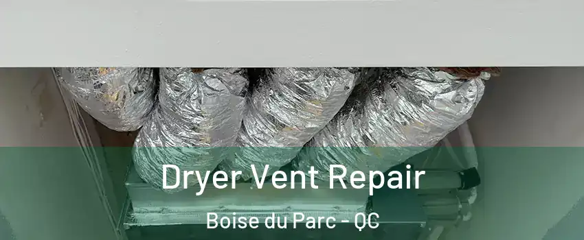  Dryer Vent Repair Boise du Parc - QC
