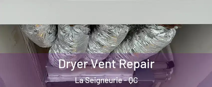  Dryer Vent Repair La Seigneurie - QC