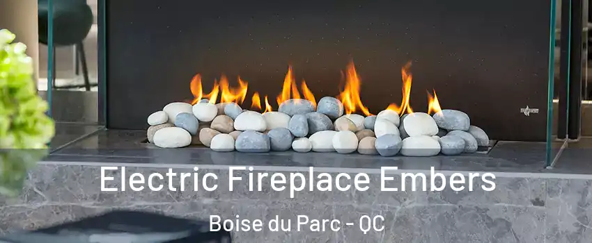  Electric Fireplace Embers Boise du Parc - QC