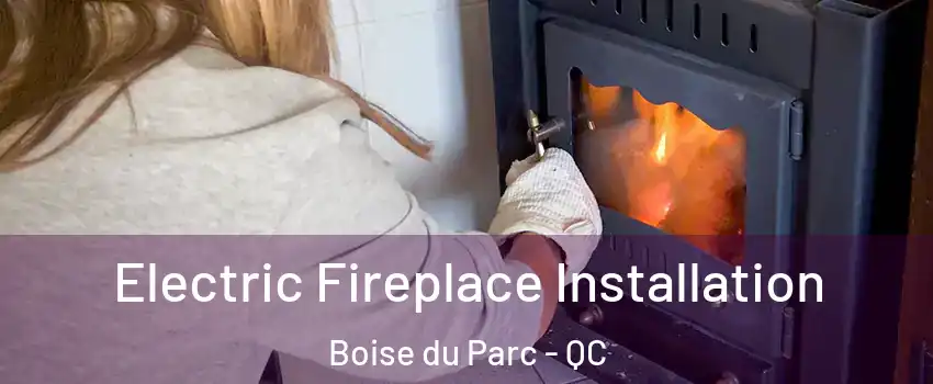  Electric Fireplace Installation Boise du Parc - QC