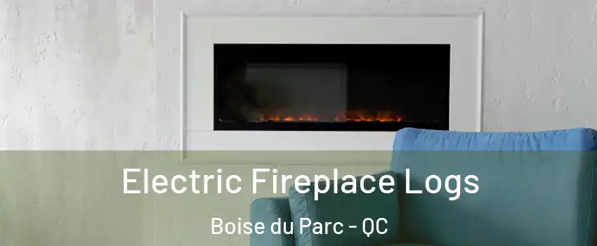  Electric Fireplace Logs Boise du Parc - QC
