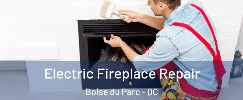  Electric Fireplace Repair Boise du Parc - QC