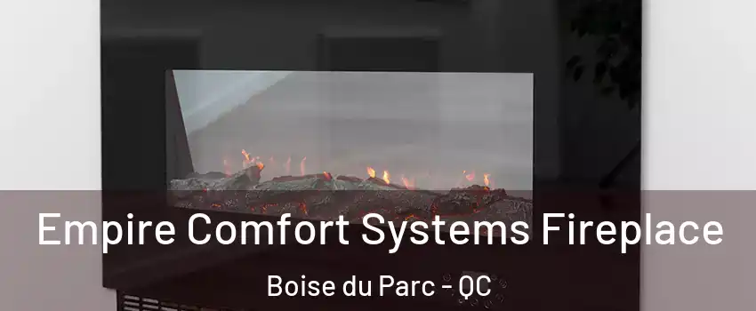 Empire Comfort Systems Fireplace Boise du Parc - QC