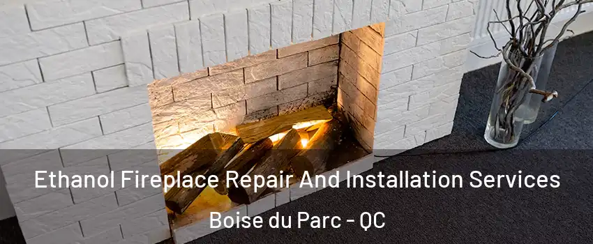  Ethanol Fireplace Repair And Installation Services Boise du Parc - QC