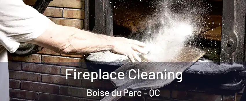  Fireplace Cleaning Boise du Parc - QC