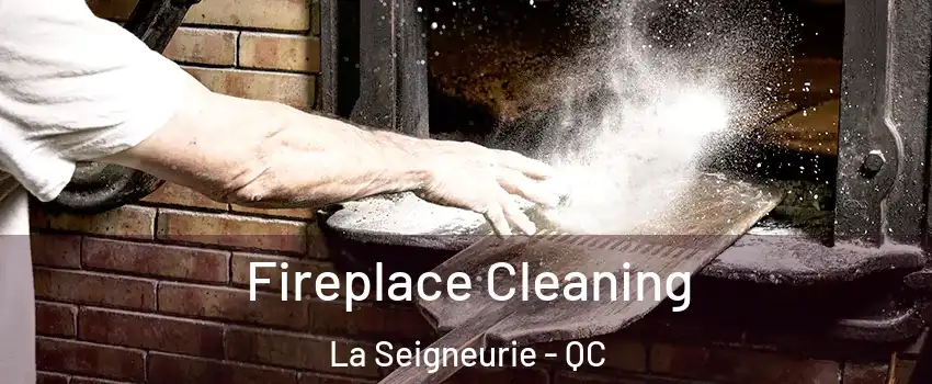  Fireplace Cleaning La Seigneurie - QC