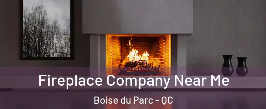  Fireplace Company Near Me Boise du Parc - QC