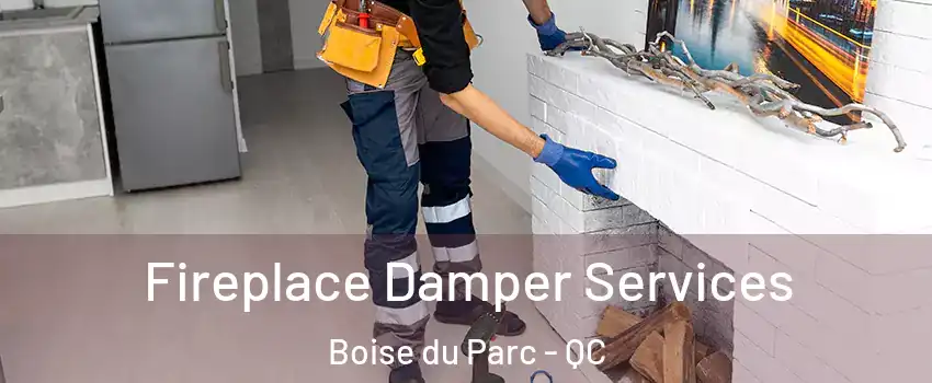  Fireplace Damper Services Boise du Parc - QC
