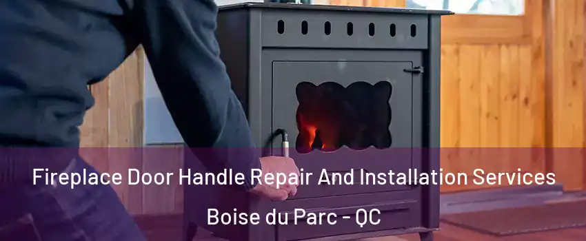  Fireplace Door Handle Repair And Installation Services Boise du Parc - QC