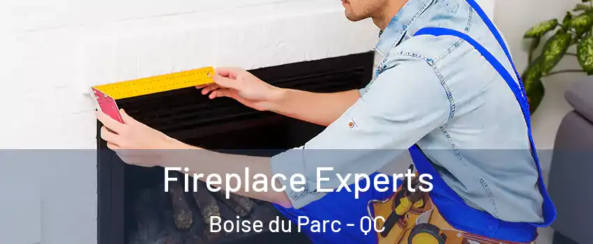  Fireplace Experts Boise du Parc - QC