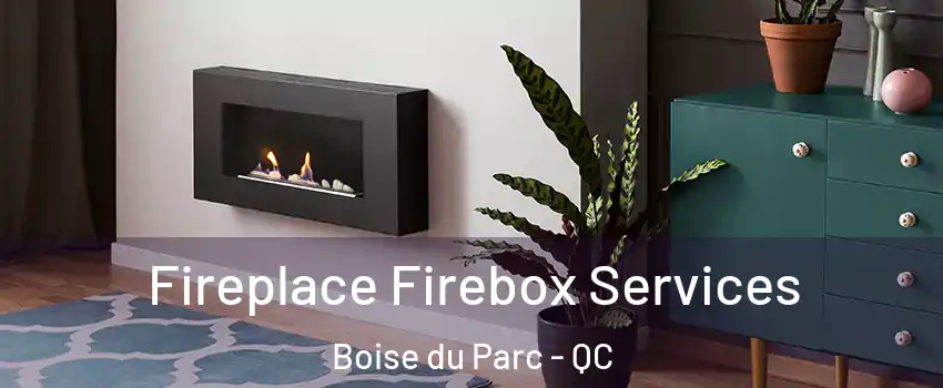 Fireplace Firebox Services Boise du Parc - QC