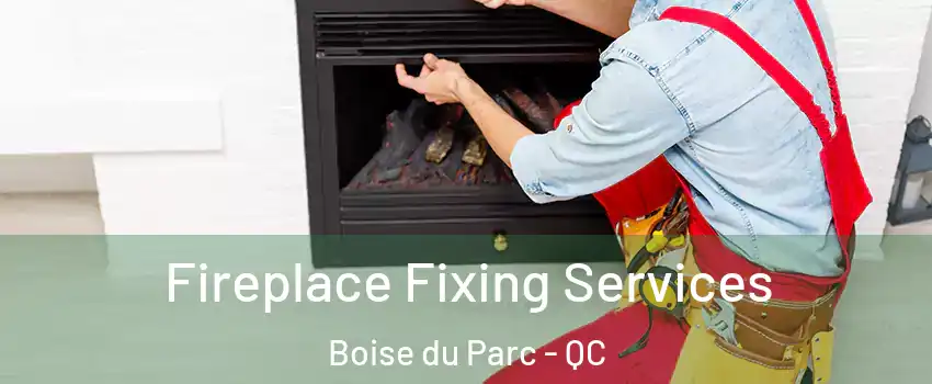  Fireplace Fixing Services Boise du Parc - QC