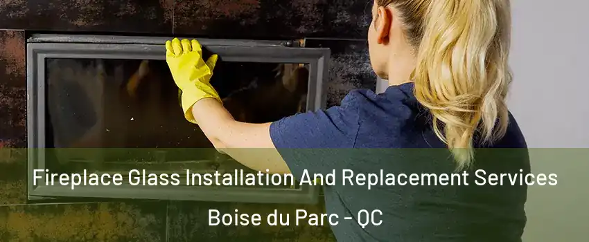  Fireplace Glass Installation And Replacement Services Boise du Parc - QC