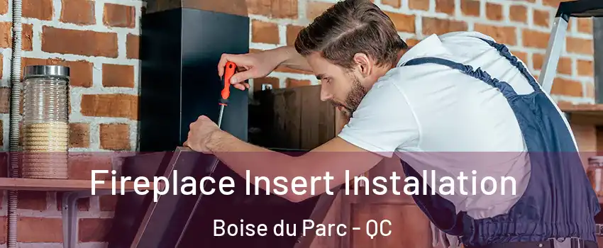  Fireplace Insert Installation Boise du Parc - QC