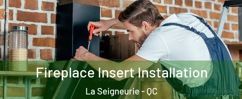  Fireplace Insert Installation La Seigneurie - QC