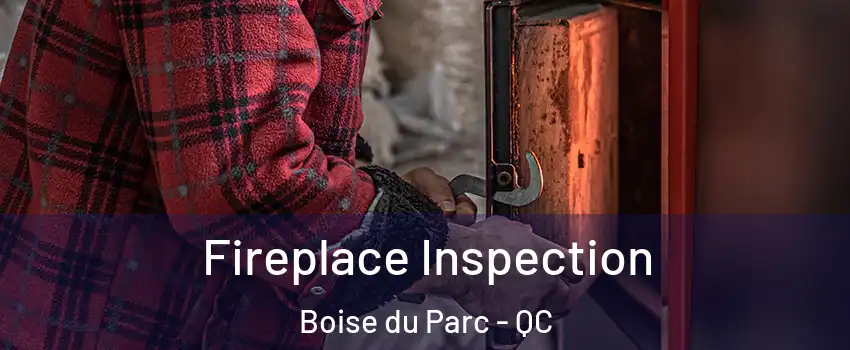  Fireplace Inspection Boise du Parc - QC