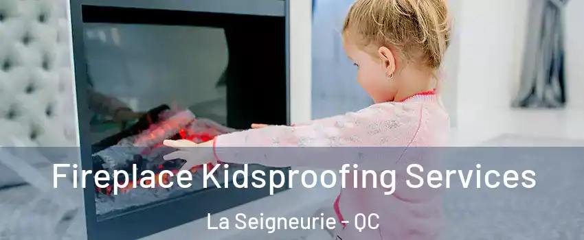  Fireplace Kidsproofing Services La Seigneurie - QC