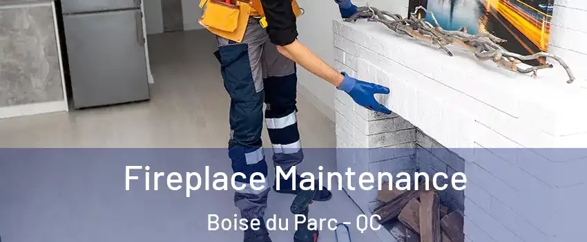  Fireplace Maintenance Boise du Parc - QC