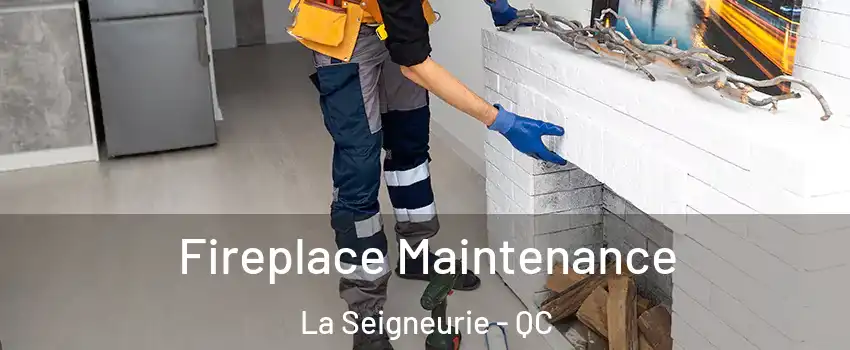  Fireplace Maintenance La Seigneurie - QC