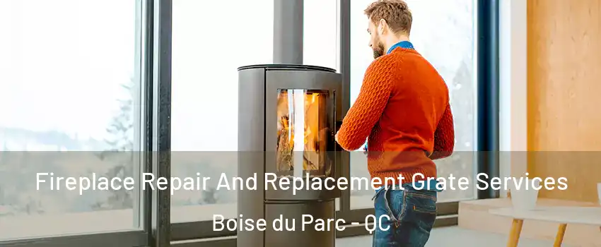 Fireplace Repair And Replacement Grate Services Boise du Parc - QC