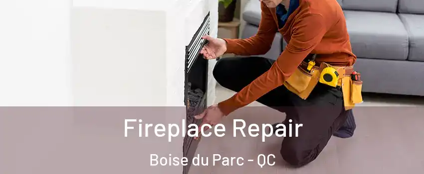  Fireplace Repair Boise du Parc - QC