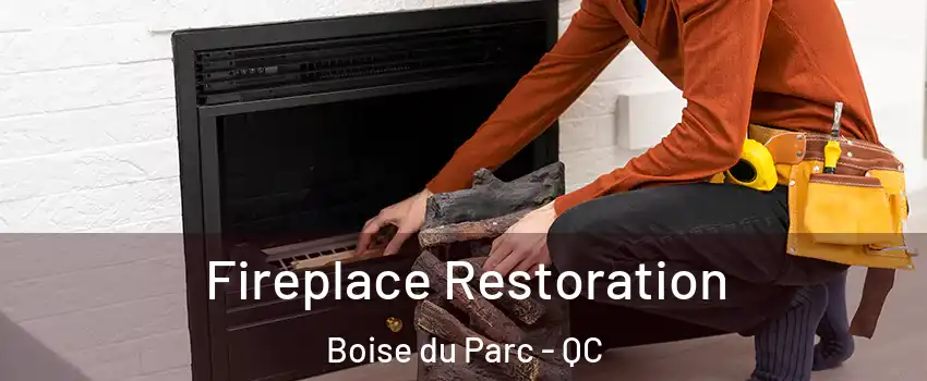  Fireplace Restoration Boise du Parc - QC