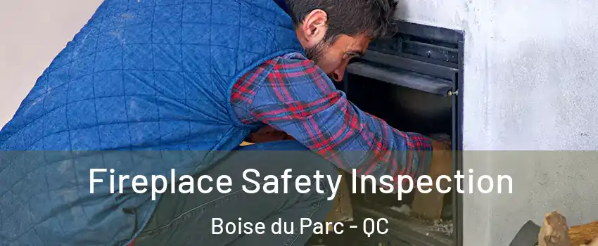 Fireplace Safety Inspection Boise du Parc - QC