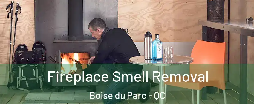  Fireplace Smell Removal Boise du Parc - QC