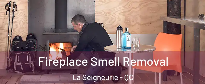  Fireplace Smell Removal La Seigneurie - QC