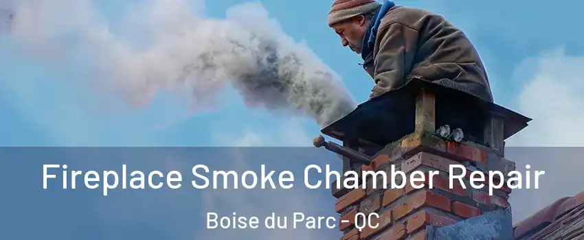  Fireplace Smoke Chamber Repair Boise du Parc - QC