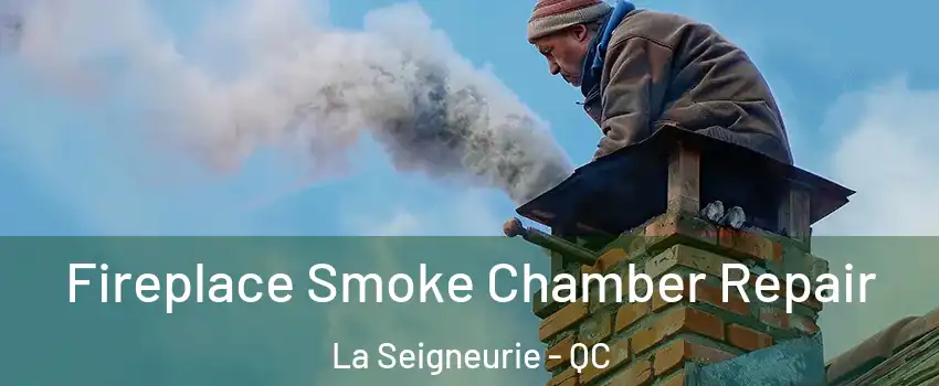  Fireplace Smoke Chamber Repair La Seigneurie - QC