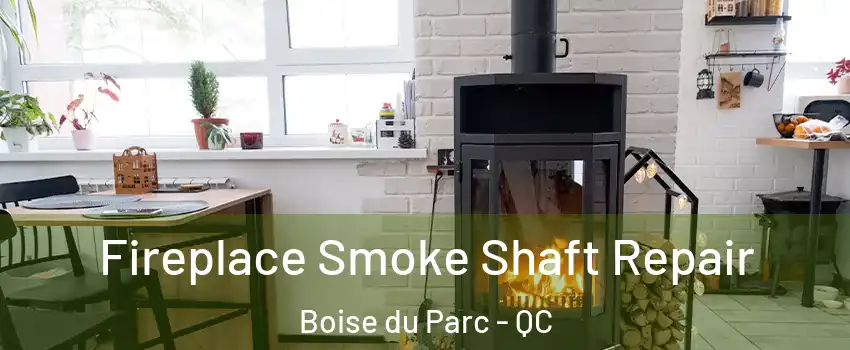  Fireplace Smoke Shaft Repair Boise du Parc - QC
